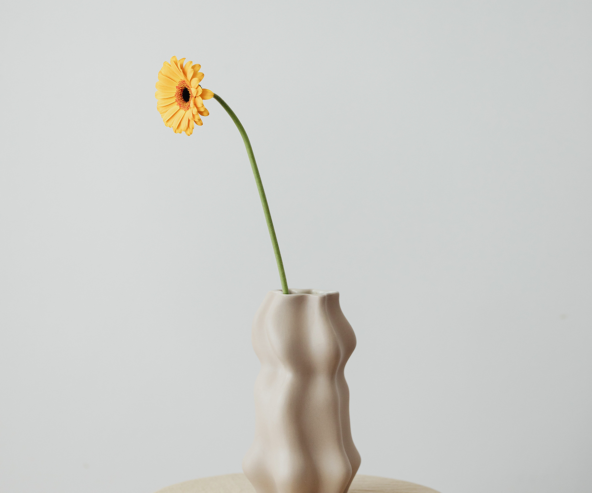 Web Development Quote